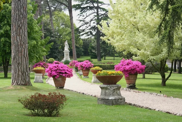 stock image Vatican gardens path