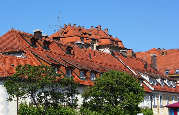 Roofs of maribor town center — Stock Photo, Image