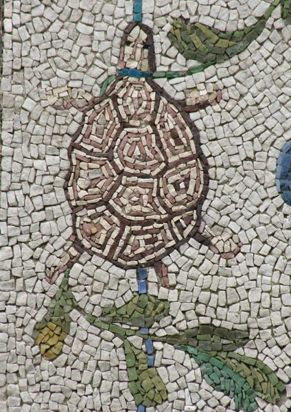 Schildkrötenmosaik - vatikanische Gärten, Rom — Stockfoto