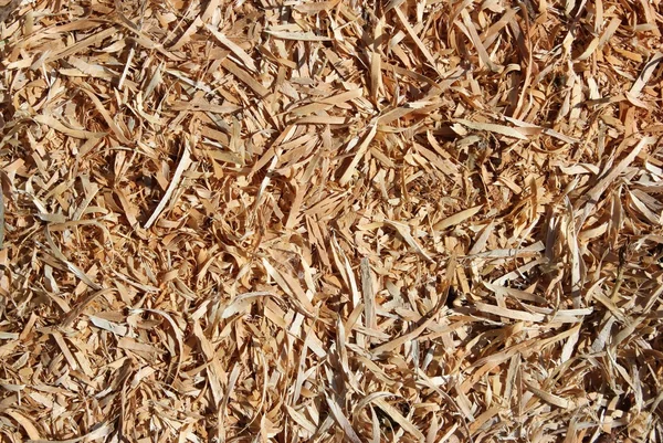 Fritas de madeira close-up — Fotografia de Stock