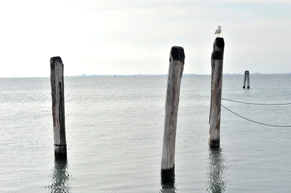 stock image The beauty of the lido island