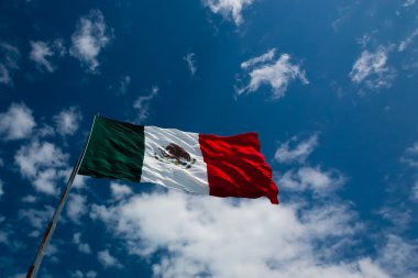 Flag of Mexico clipart