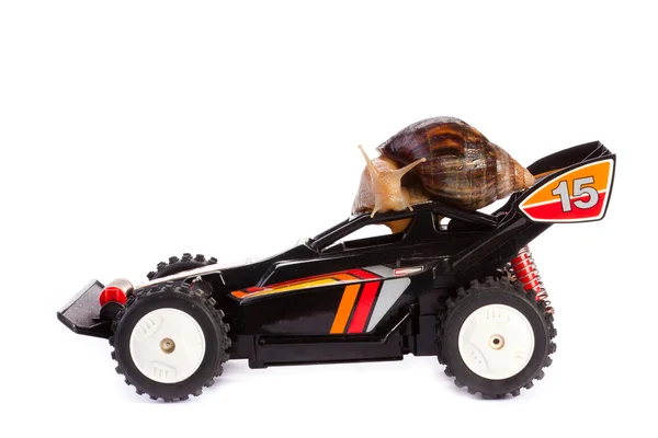 Wyścigi ślimaków — Zdjęcie stockowe