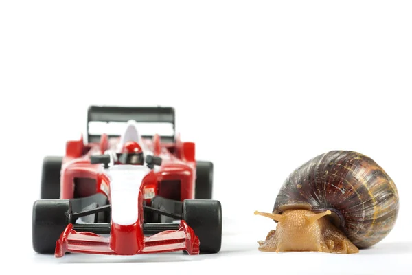 Fórmula 1 Carrera de caracoles — Foto de Stock