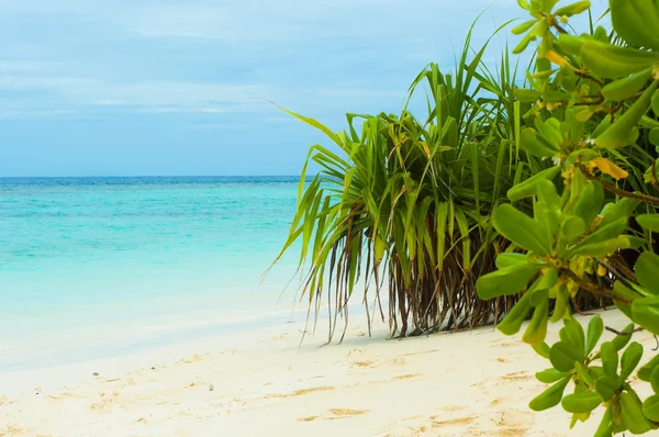 Tropical beach 2 — Stockfoto