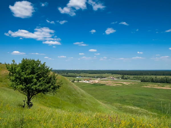 stock image Alone tree on a hill