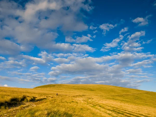 stock image Summer hill