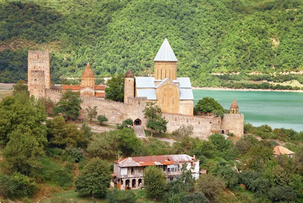 Nézd a vár Ananuri, a grúz hadsereg út — Stock Fotó