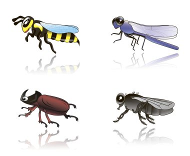 Insects clipart