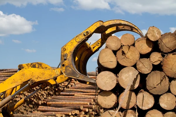 Captures a timber loader — Stock Photo, Image