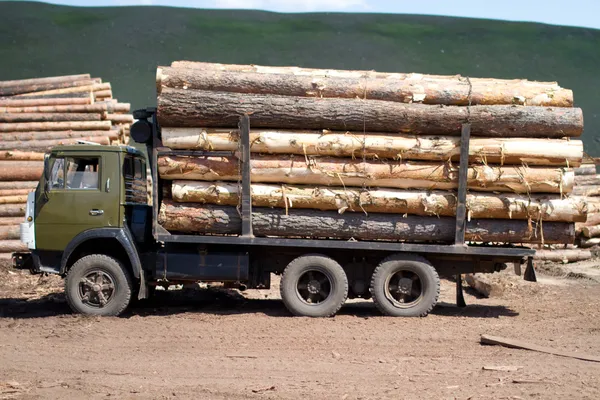 stock image A truck loaded with logs