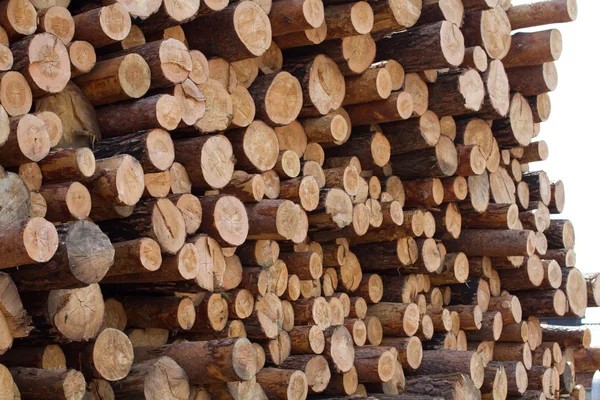 stock image Logs in stock sawmill