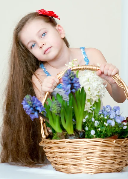 Menina bonita com flores de primavera na cesta — Fotografia de Stock