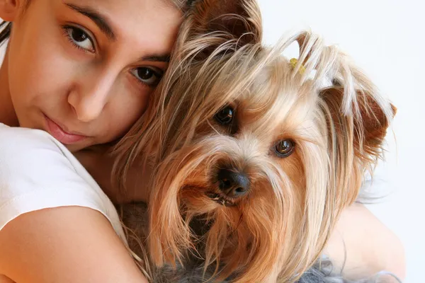 Flicka med yorkshire terrier porträtt Stockbild