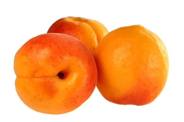 Apricot on a white background — Stock Photo, Image