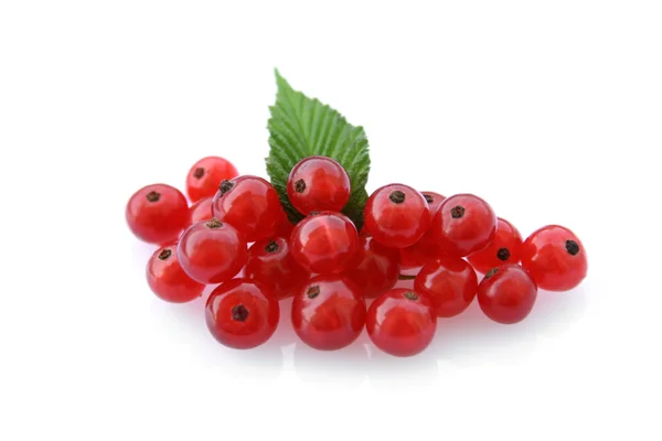 Sweet red currants closeup on white — Stock Photo, Image