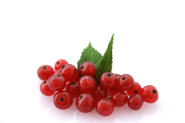Primeros planos de grosellas rojas dulces sobre blanco —  Fotos de Stock