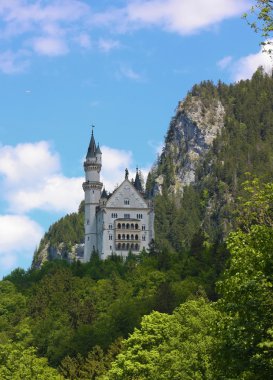 Schloss Neuschwanstein,Bavaria,Germany clipart