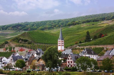 Almanya mosel Nehri'nin kıyısında