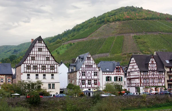 stock image On the banks of the Mosel river,Germany