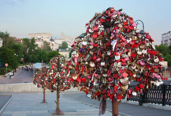 stock image Lock tree,Moscow,Russia