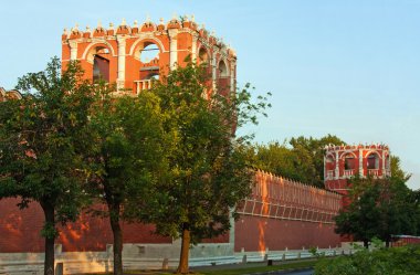 Donskoy Manastırı, moscow, Rusya Federasyonu