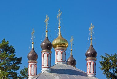 varsayım church yanında serpukhov, Rusya Federasyonu