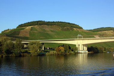 üzüm bağları boyunca nehir moselle, Almanya