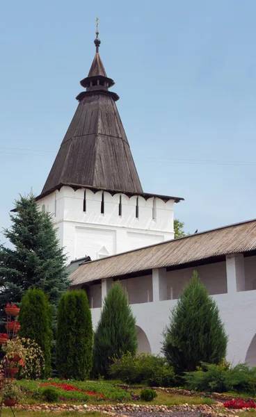 Monasterio de San Papnucio Borovsk, Rusia —  Fotos de Stock