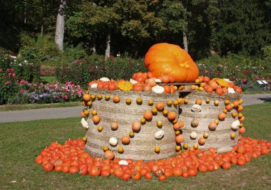 Pumpkin, ludwigsburg, Almanya