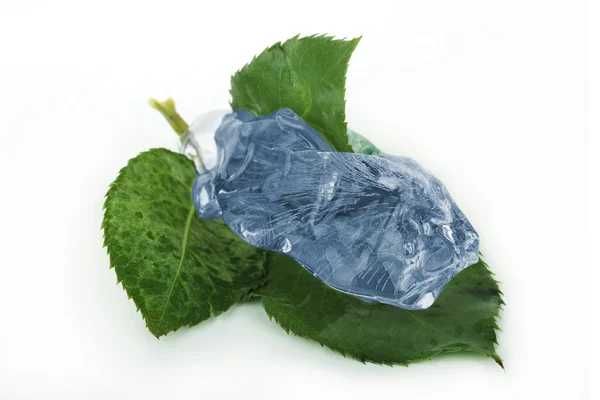 Leaf in ice — Stock Photo, Image