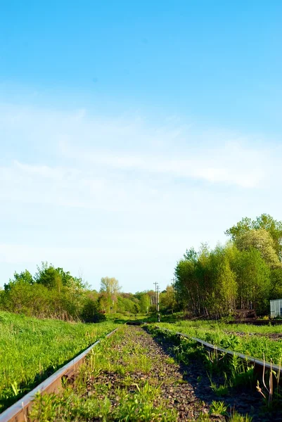 Stock image Railroad tracks go on forever