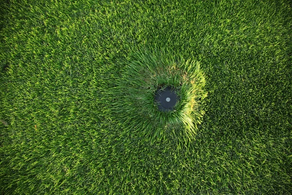 stock image Lawn sprinkler