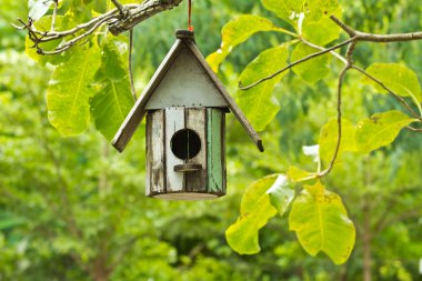 Birdhouse clipart