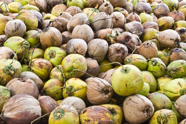 Green and brown Coconut — Stock Photo, Image