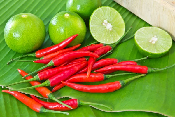 stock image Chili and Lime