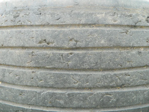 오래 된 타이어의 수호자 — 스톡 사진