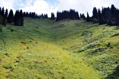 Güzellik, Kazakistan.