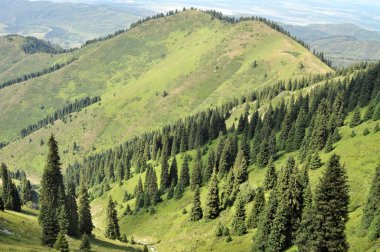 Güzellik, Kazakistan.