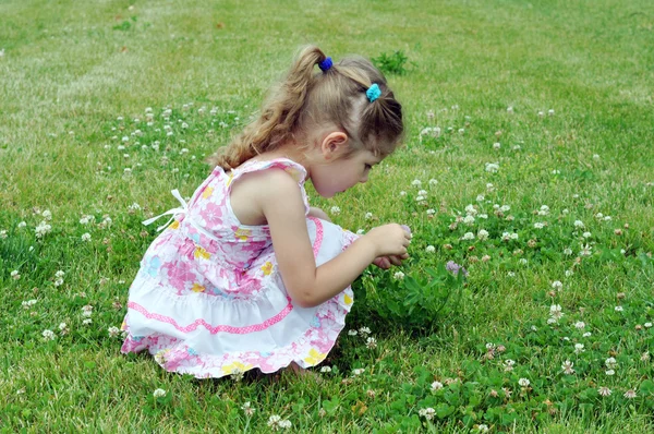Ребенок и цветок — стоковое фото
