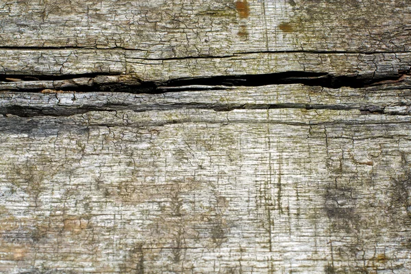 stock image Old wood