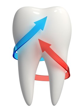 3D sağlıklı diş simgesi - kırmızı ve mavi oklar