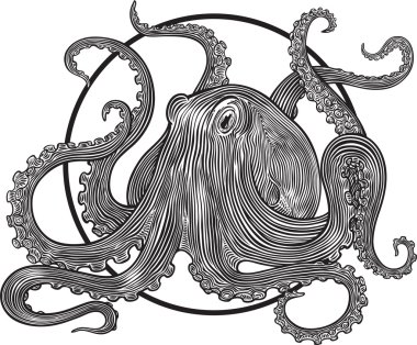 Octopus clipart