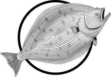 Halibut clipart