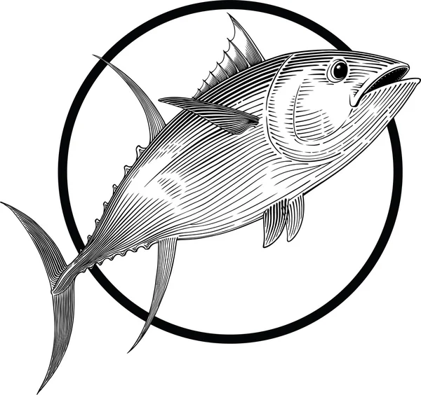 Yellowfin tuna — Stock Vector