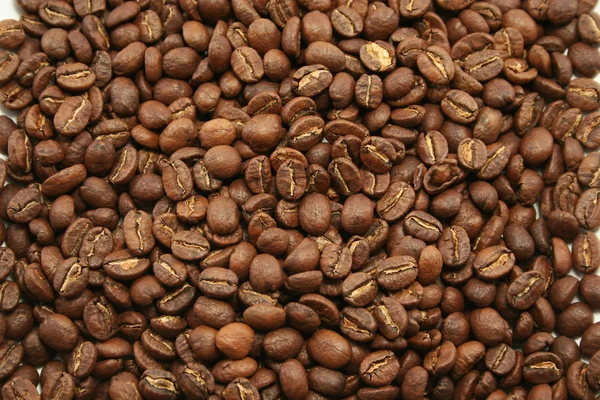 Kenianische Kaffeebohnen — Stockfoto