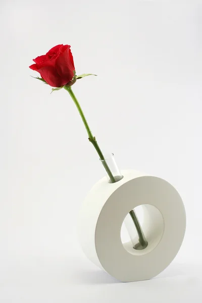 Красная роза в керамической вазе — стоковое фото
