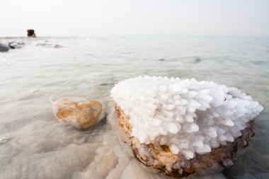 Salt in the Dead Sea clipart