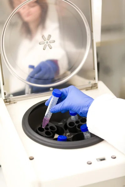 Tubos de ensayo en centrifugadora, científico reflejado — Foto de Stock