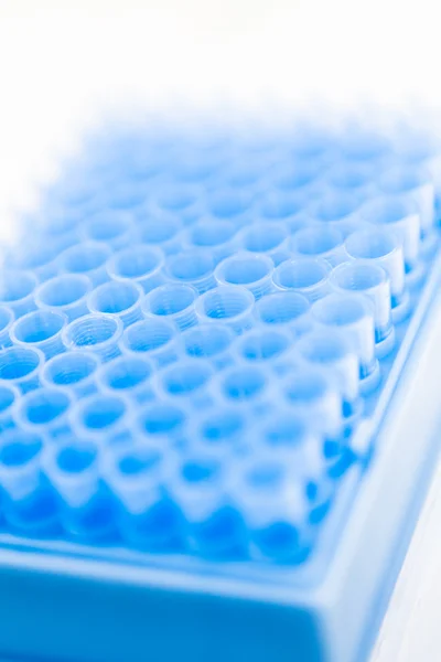 stock image Blue pipette tips in container, shallow DOF